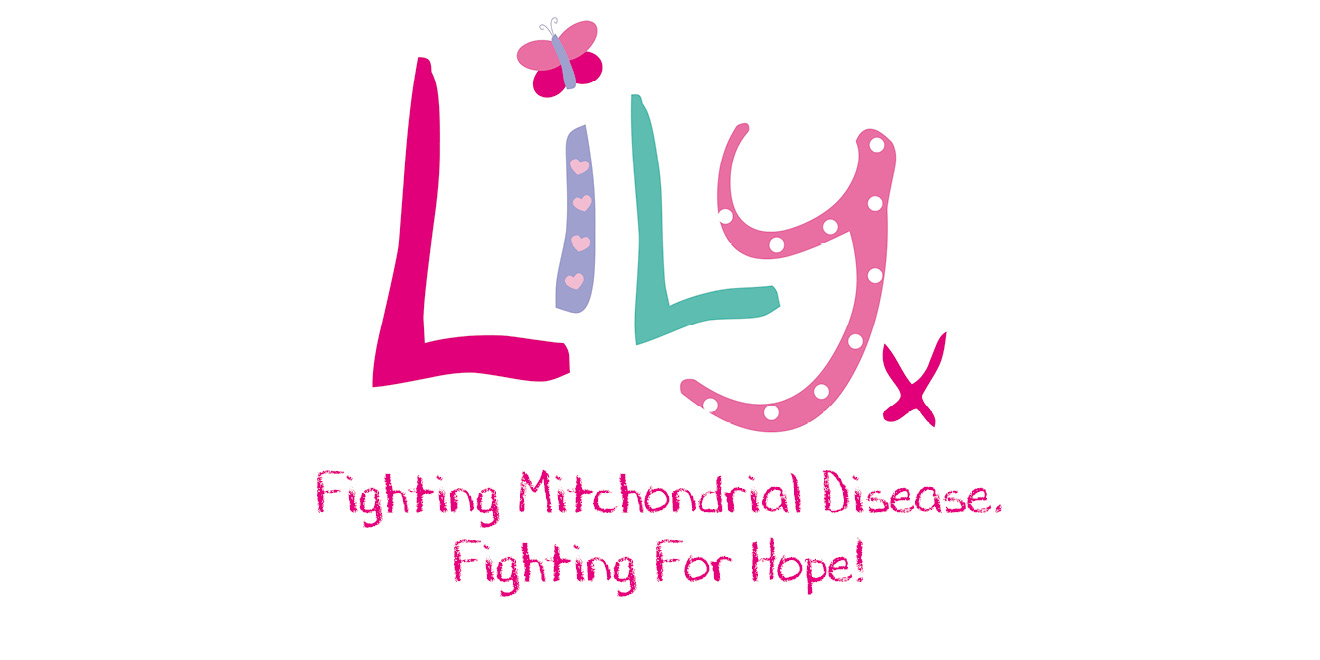 The Lily Foundation